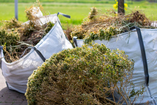 Best Carpet Removal and Disposal  in Whitney, NV